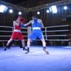 IMG_3641 - Copy