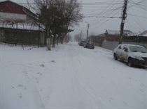 IMG_3672