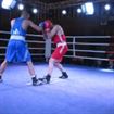 IMG_3737 - Copy