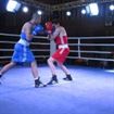 IMG_3741 - Copy