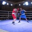 IMG_3748 - Copy