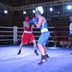 IMG_3752 - Copy