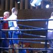IMG_3831 - Copy