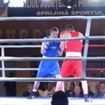 IMG_3837 - Copy