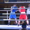 IMG_3848 - Copy