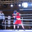 IMG_3849 - Copy