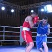 IMG_3881