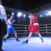 IMG_3934