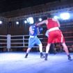 IMG_3956