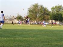 IMG_6246