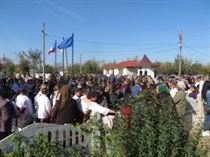 IMG_6781