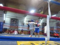 IMG_7750