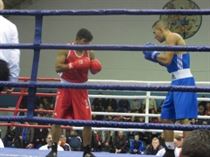 IMG_8412