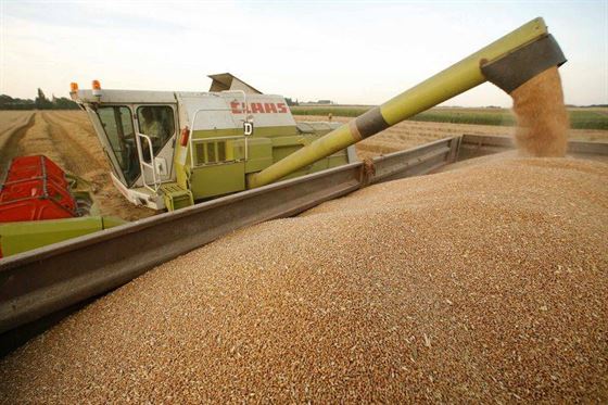 Peste 500 de fermieri trebuie sa restituie banii primiti pentru a infiinta ferme la tara