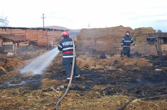 Incendiu la ferma Edera