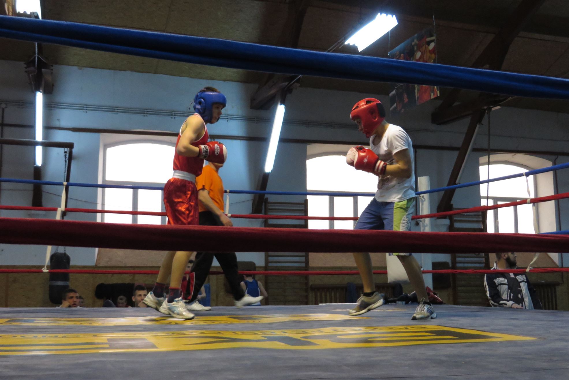 Ionut Bucurica in ring cu Ion Stici