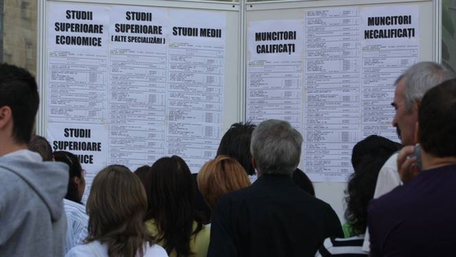 Joburi oferite la Bursa locurilor de munca