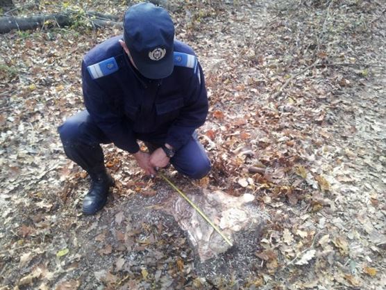 Noi competente pentru jandarmi