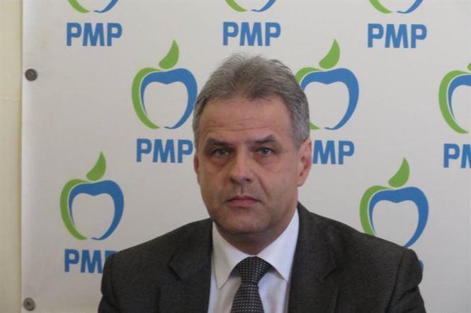 Botea: PMP Braila o sustine pe Elena Udrea la prezidentiale