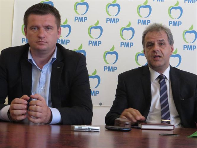 PMP acuza un blat PSD-PNL pe legea alegerilor locale