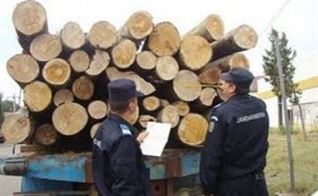 Politia in actiune !