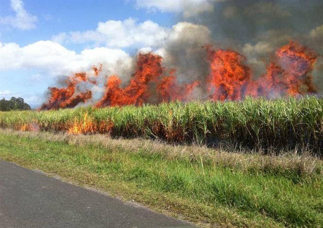 Prevenirea incendiilor pe timpul campaniei de recoltare a cerealelor