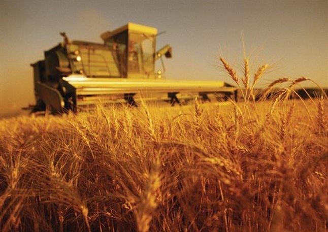 INS - Valoarea productiei agricole pe 2013, in crestere cu 24,5%