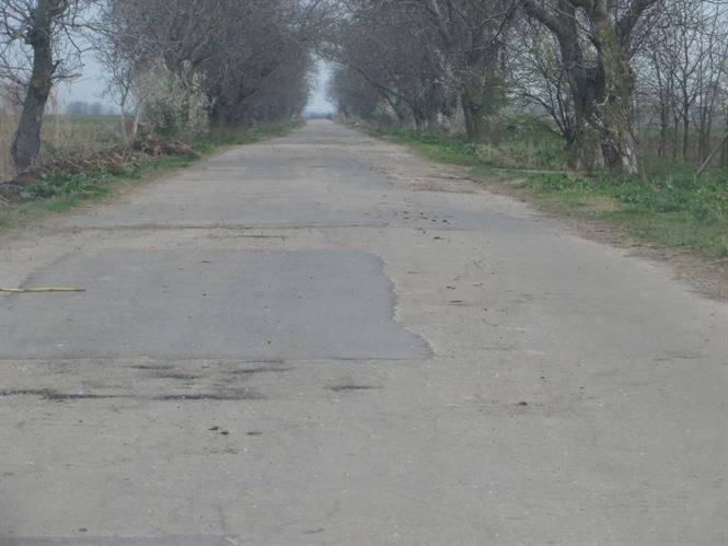 Sofer baut a intrat cu masina intr-un copac intre Gemenele si Movila Miresii