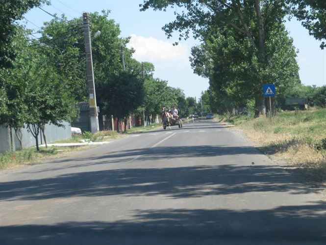 Trei tineri prinsi cu porumbul furat in caruta