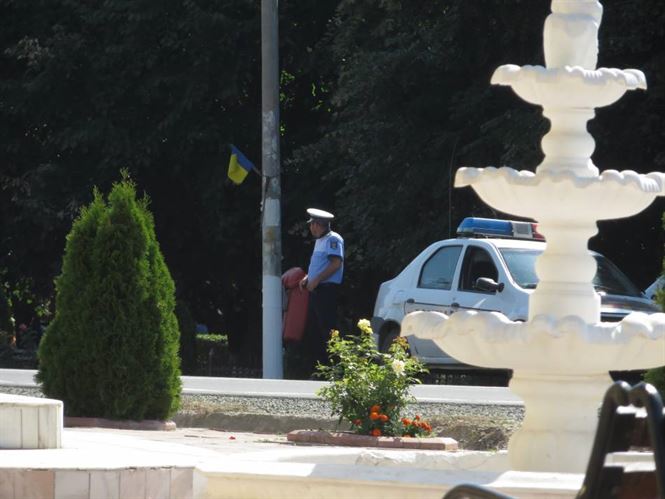 Un tanar din comuna Victoria, depistat fara permis dupa ce a fost implicat intr-o tamponare