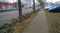 WP_20141110_006