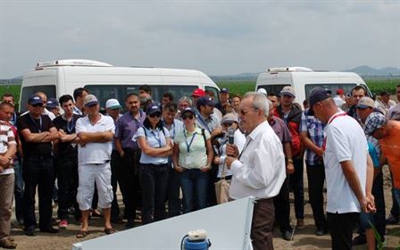 Ziua campului in Insula Mare a Brailei