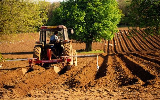 Plati compensatorii pentru fermierii care lucreaza in zone afectate de constrangeri naturale
