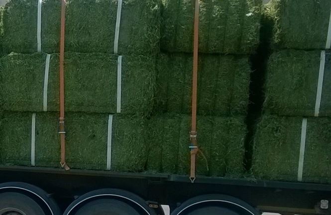 Tractor cu remorca incarcata cu balori de paie a rupt indicatorul de cale ferata