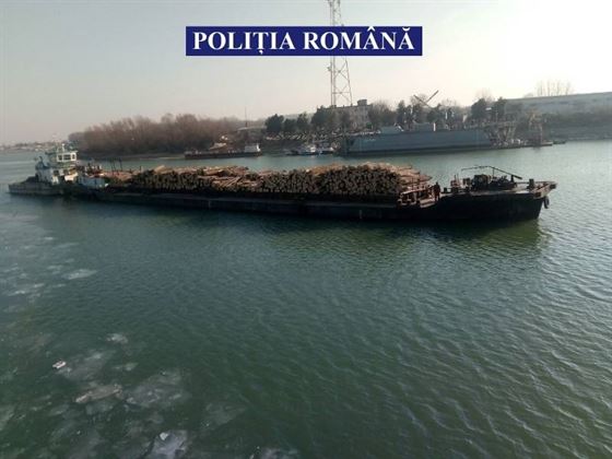 Video: Slep al unei firme brailene incarcat cu peste 700 mc de lemne, fara documente de provenienta