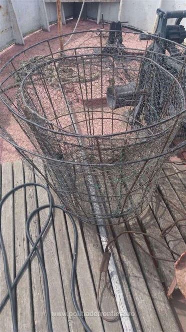 Braconieri depistaţi de poliţiştii de frontieră brăileni