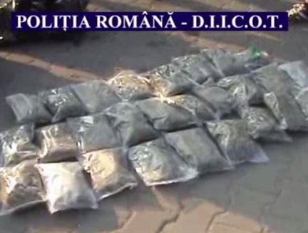 Retea de traficanti de cocaina si canabis destructurata la Braila