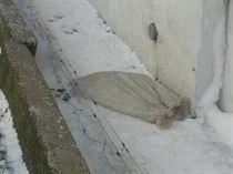 detinere plasa ilegala (1)