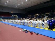 festivalul judo romanesc