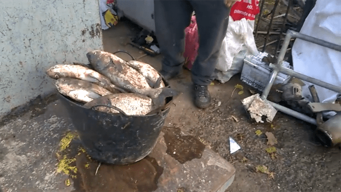 Peste confiscat de jandarmi