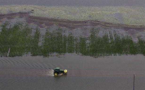 Pericolul de inundatii creste pentru Braila