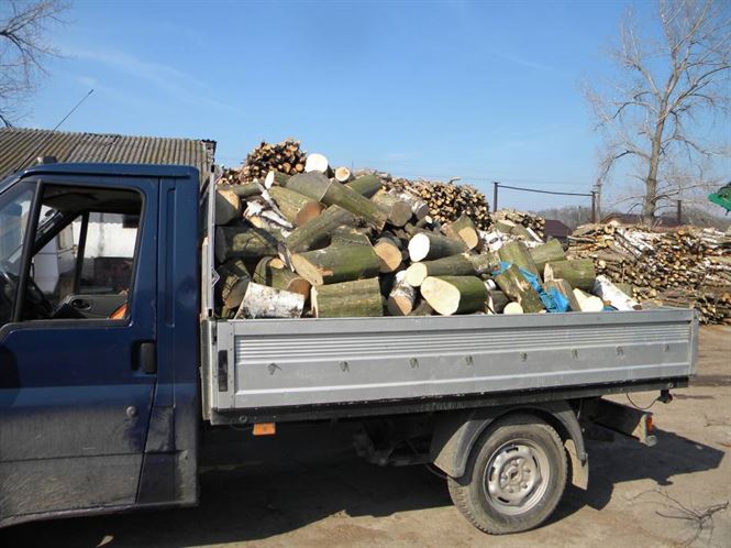 VAnzator de lemne de foc amendat cu 2 mii de lei