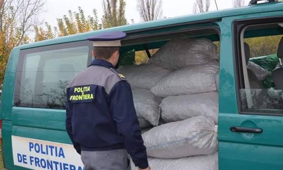 Peste o tona de nuci confiscate de politistii de frontiera