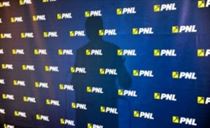 pnl (1)