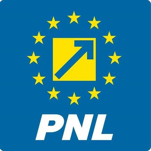 Liberalii isi aleg astazi conducerea judeteana