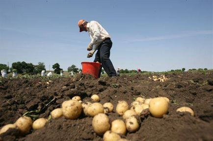 Aproape 1.000 de fermieri si-au deschis conturi on-line pentru a primi fonduri prin PNDR