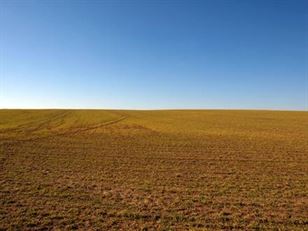 Achizitia de terenuri agricole s-ar putea realiza cu un avans de numai 10%
