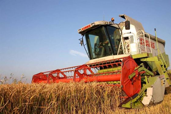 Termen de plata pentru impozitul pe venit si CASS din veniturile pe activitatile agricole