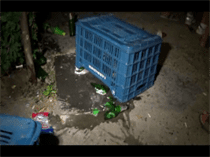 vlcsnap-2015-08-05-13h21m16s115