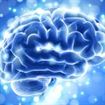 Teoria biocentrismului lanseaza o ipoteza socanta